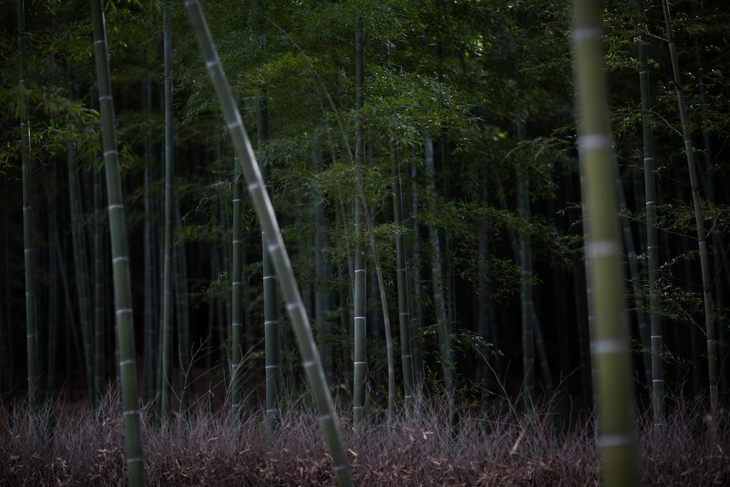 Kyoto Fushimi Ohana Muko Exteriér fotografie
